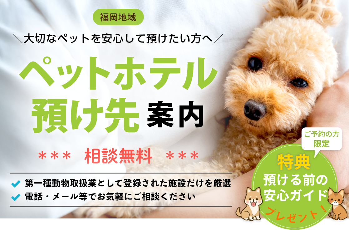 ペットホテル・預け先をご案内