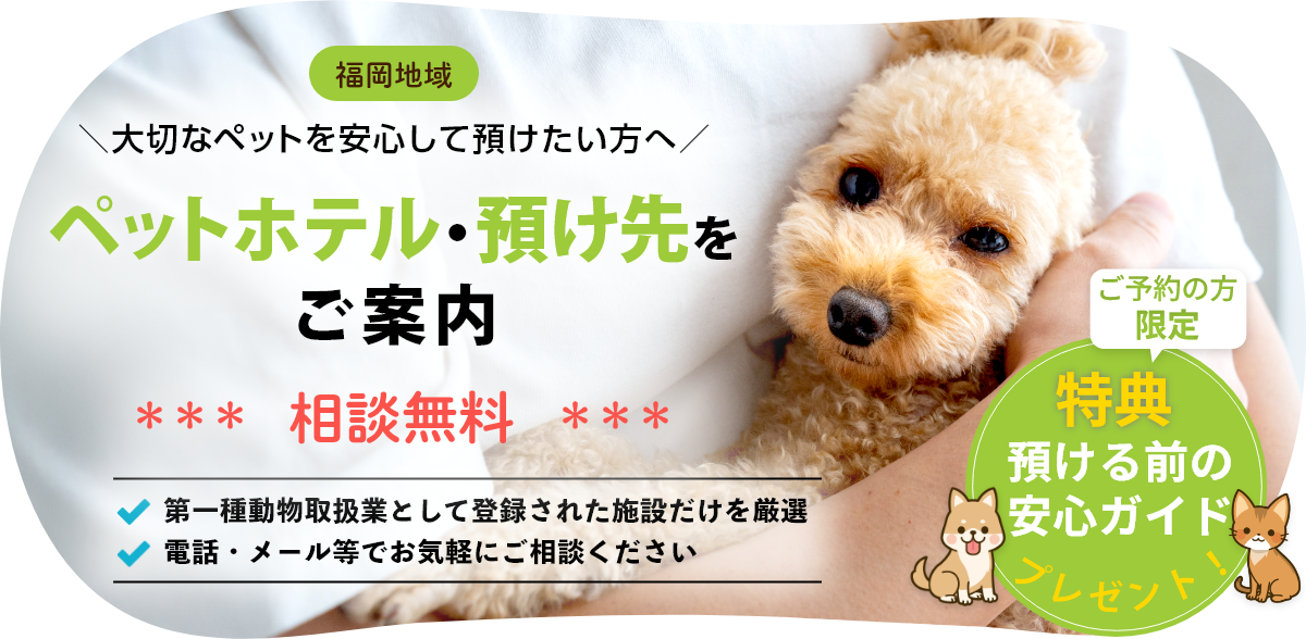 ペットホテル・預け先をご案内