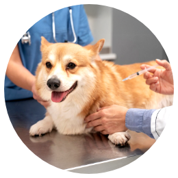 ペットクリニック